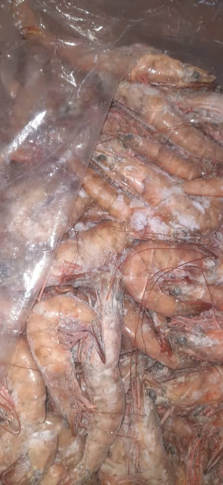 Frozen Fish & Shrimp 6